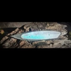 SOCO Baits Lures SOCO Prime Cut Baits Jelly Moon 5-1/8"