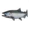 Fat Nancy's Tackle Shop Salmon Decals